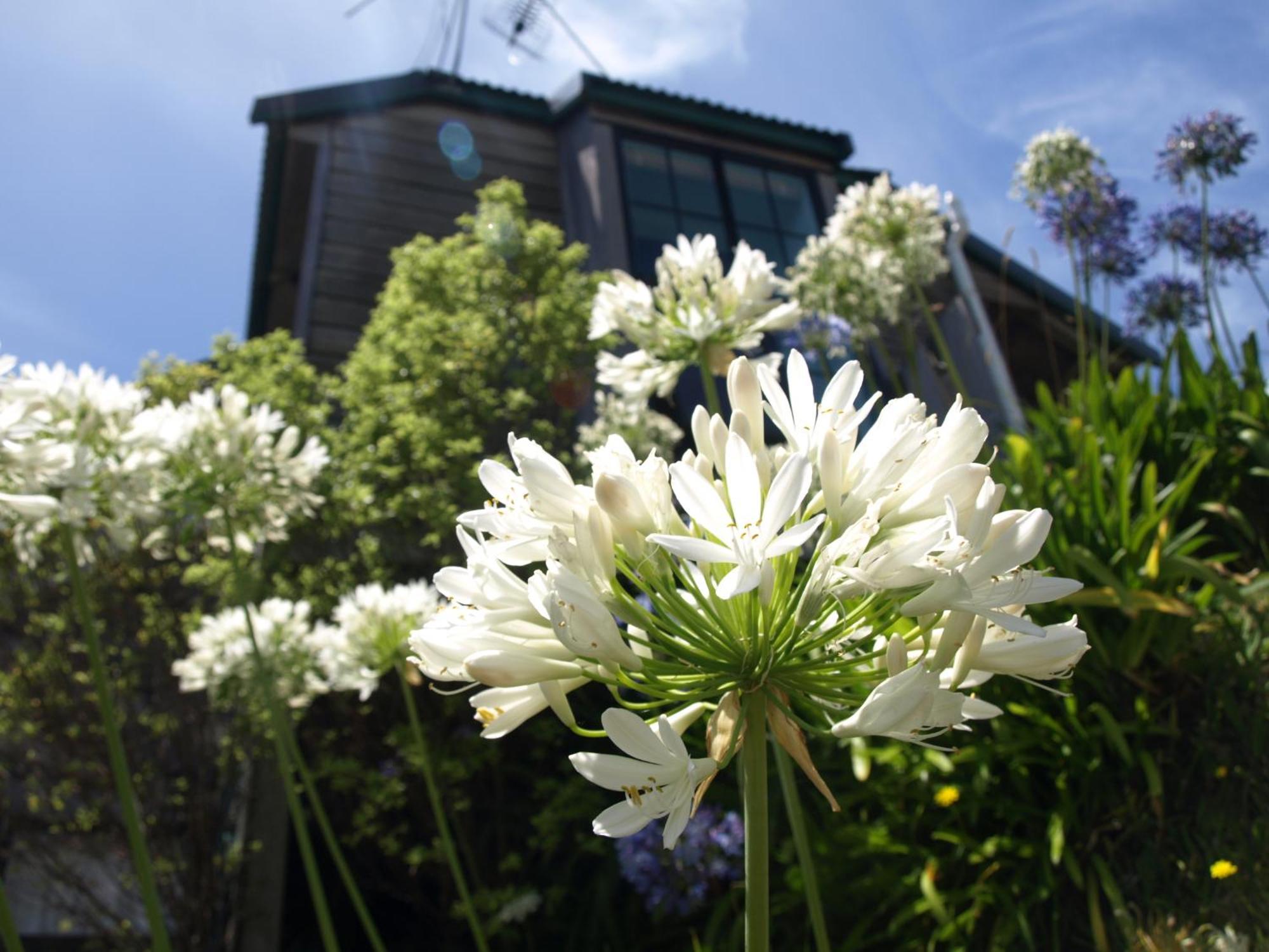 Grafton Cottage & Chalets Thames Exterior foto